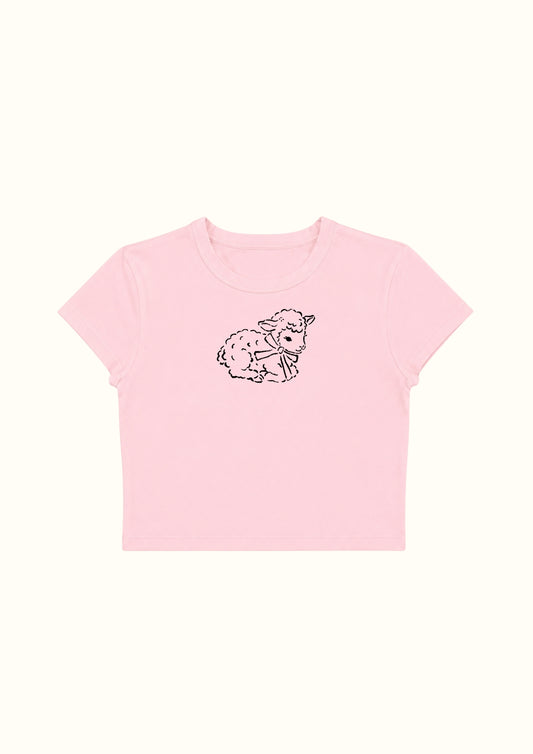 Teddy Doodle Crop Tee - Enicpet Premium Store